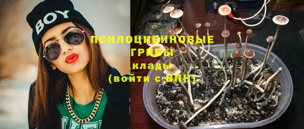 стафф Абинск