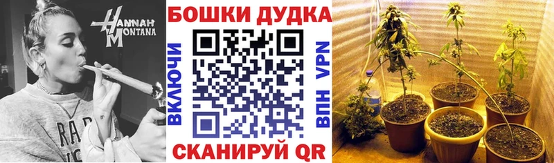 Канабис OG Kush  Северодвинск 