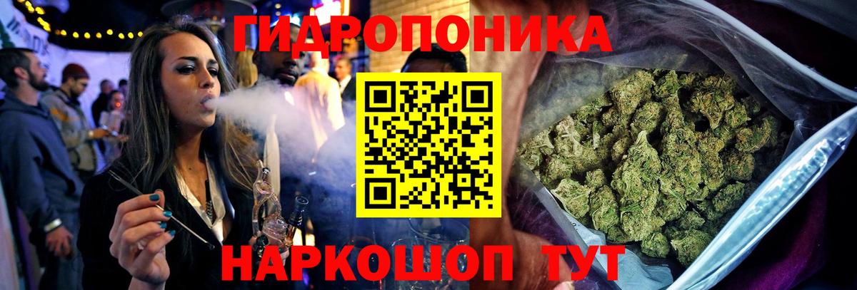 Конопля планчик  Бошки марихуана OG Kush  Вход с VPN  Конопля VHQ  Северодвинск 